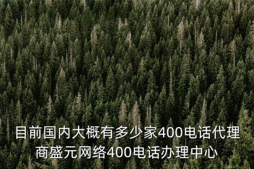 目前國內大概有多少家400電話代理商盛元網絡400電話辦理中心