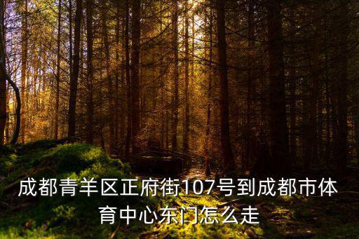 成都市市體育中心東大門，請問成都市體育中心東大門是不是在西玉龍街啊