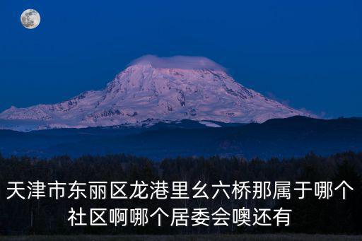 天津市東麗區龍港里幺六橋那屬于哪個社區啊哪個居委會噢還有