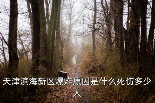天津濱海新區爆炸原因是什么死傷多少人