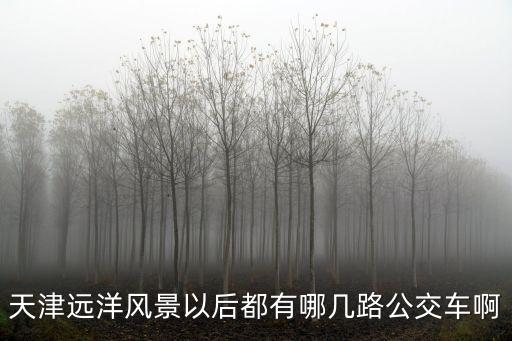 天津遠洋風景以后都有哪幾路公交車啊
