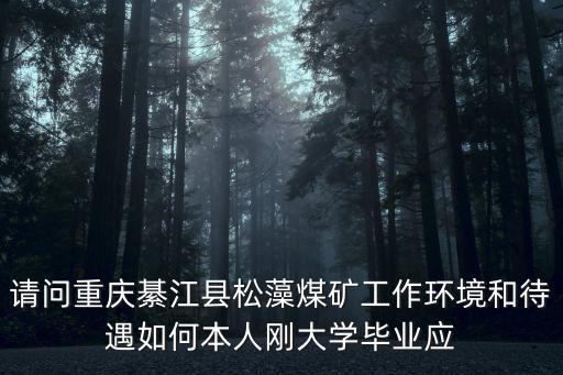 請問重慶綦江縣松藻煤礦工作環境和待遇如何本人剛大學畢業應