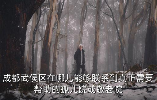 成都武侯區在哪兒能夠聯系到真正需要幫助的孤兒院或敬老院