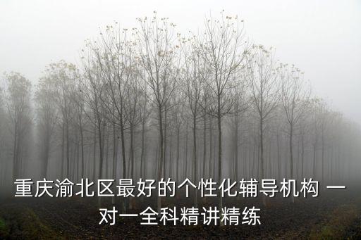 重慶渝北區最好的個性化輔導機構 一對一全科精講精練