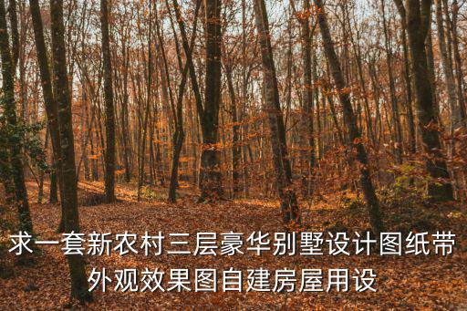 求一套新農村三層豪華別墅設計圖紙帶外觀效果圖自建房屋用設