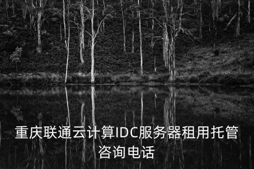 重慶市idc管理開發，重慶服務器托管哪個IDC公司在做