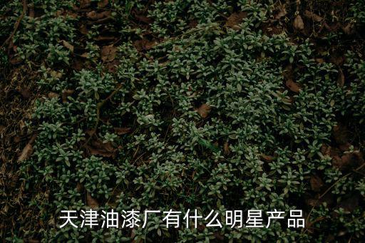天津市天涂豪邦涂料有限公司，天津地區的大型油漆涂料廠有哪些都在哪一片
