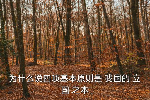 我國的立國之本是什么,四原則決定我國走向何方?