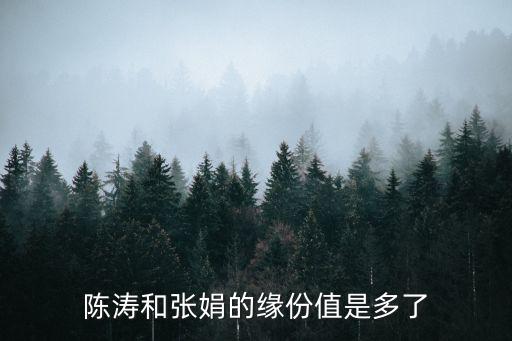 陳濤和張娟的緣份值是多了