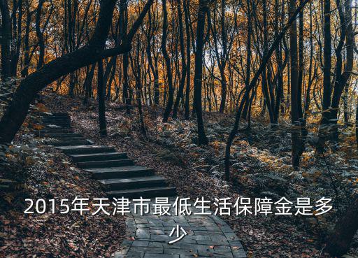 2015年天津市最低生活保障金是多少