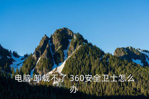 電腦 卸載不了 360安全衛士怎么辦