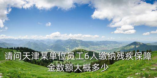 天津市殘疾人保障金繳納標準，天津殘疾人保障金如何計算