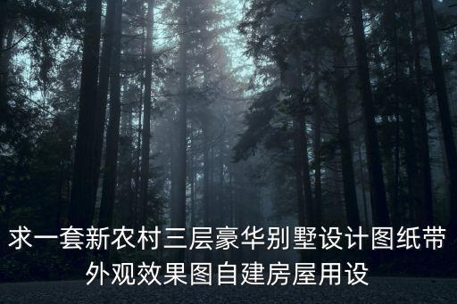 求一套新農(nóng)村三層豪華別墅設計圖紙帶外觀效果圖自建房屋用設