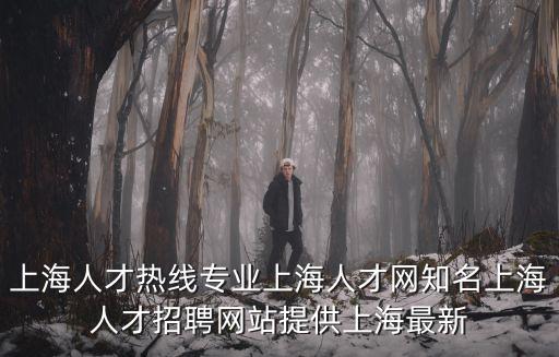 上海人才熱線專業上海人才網知名上海人才招聘網站提供上海最新