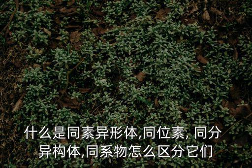 什么是同素異形體,同位素, 同分 異構體,同系物怎么區分它們