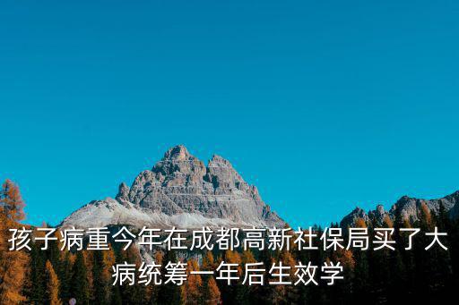 孩子病重今年在成都高新社保局買了大病統籌一年后生效學