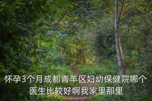 懷孕3個月成都青羊區(qū)婦幼保健院哪個醫(yī)生比較好啊我家里那里