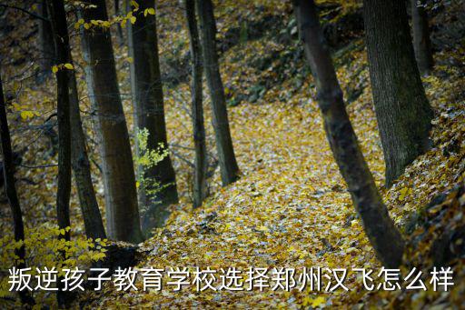 叛逆孩子教育學(xué)校選擇鄭州漢飛怎么樣