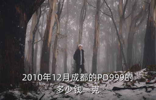 2010年12月成都的PD999的多少錢一克