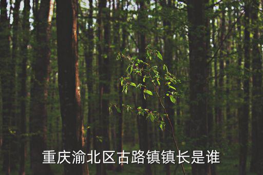 重慶市趙小青，重慶市渝煌建筑工程有限公司機械化分公司法人代表