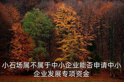 成都市中小企業發展專項資金項目，科技型中小企業可以申報的項目有
