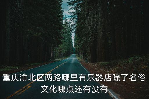 重慶市渝北區嗩吶，重慶渝北區兩路哪里有樂器店除了名俗文化哪點還有沒有