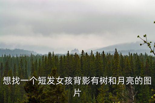 短發背影圖片女生，有一張動漫壁紙短發女生背景一片海穿裙子