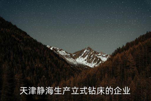 天津市皓迪工貿有限公司，天津靜海生產立式鉆床的企業