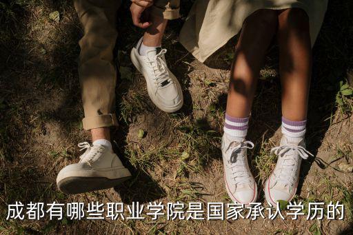 成都有哪些職業學院是國家承認學歷的