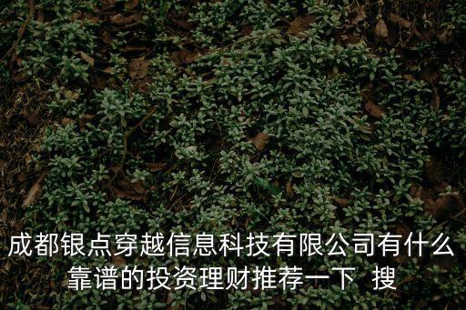 成都銀點穿越信息科技有限公司有什么靠譜的投資理財推薦一下  搜