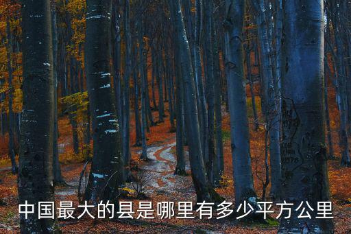 中國最大的縣是哪里有多少平方公里
