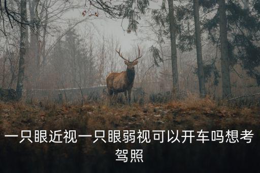 一只眼近視一只眼弱視可以開車嗎想考駕照