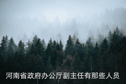 河南省政府辦公廳副主任有那些人員