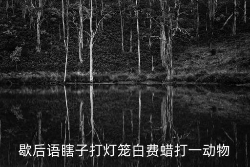 歇后語瞎子打燈籠白費蠟打一動物