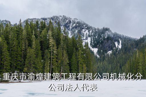 重慶市渝煌建筑工程有限公司機械化分公司法人代表