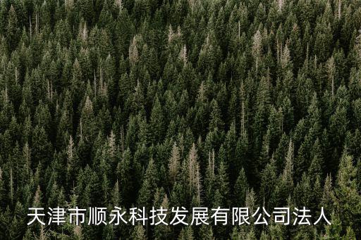 天津市順永科技發展有限公司法人