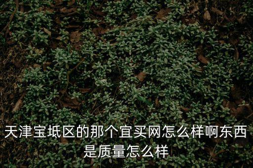 天津?qū)氎鎱^(qū)的那個(gè)宜買(mǎi)網(wǎng)怎么樣啊東西是質(zhì)量怎么樣