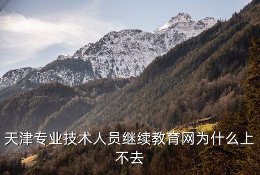 天津?qū)I(yè)技術(shù)人員繼續(xù)教育網(wǎng)為什么上不去