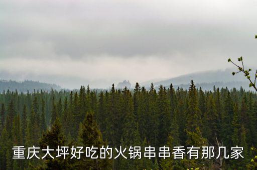 重慶大坪好吃的火鍋串串香有那幾家