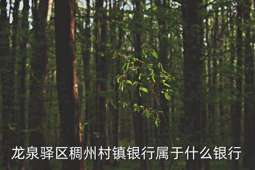 龍泉驛區稠州村鎮銀行屬于什么銀行