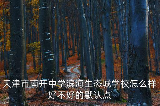 天津市南開中學濱海生態城學校怎么樣好不好的默認點