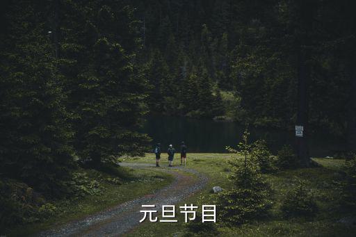 元旦節(jié)目