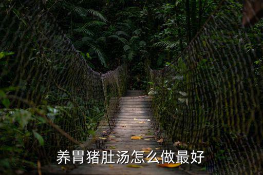 養(yǎng)胃豬肚湯怎么做最好