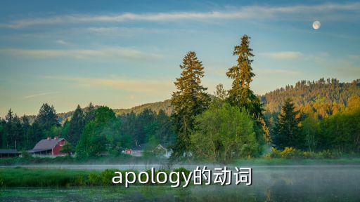  apology的動詞