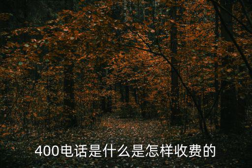 400電話是什么是怎樣收費的