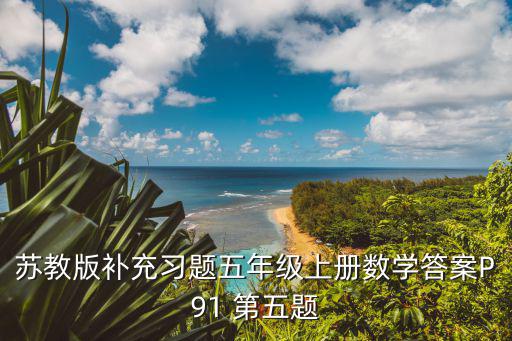 蘇教版補(bǔ)充習(xí)題五年級(jí)上冊(cè)數(shù)學(xué)答案P91 第五題