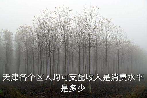天津各個區(qū)人均可支配收入是消費水平是多少
