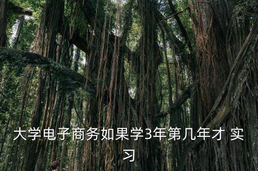 大學電子商務如果學3年第幾年才 實習