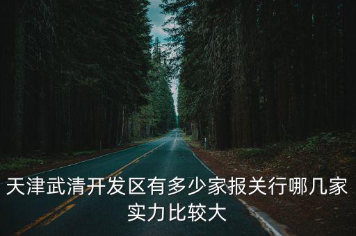 天津武清開(kāi)發(fā)區(qū)有多少家報(bào)關(guān)行哪幾家實(shí)力比較大