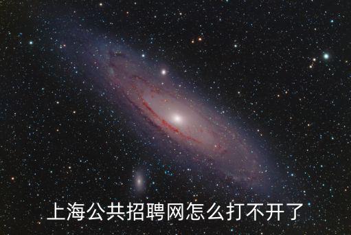 上海公共招聘網怎么打不開了